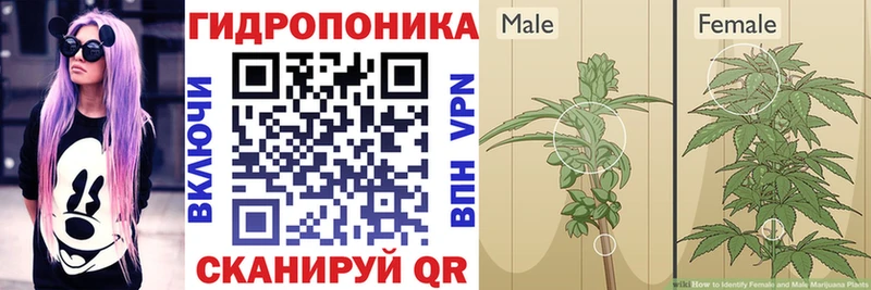 Все наркотики Талица Гашиш СК Псилоцибиновые грибы МЕФ Бошки Шишки КОКАИН