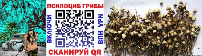 где можно купить наркотик  Талица  Галлюциногенные грибы мицелий 
