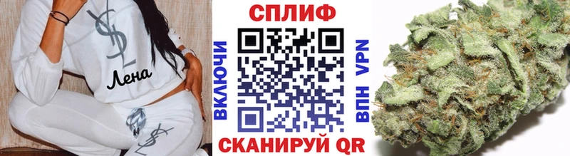 Бошки марихуана сатива  Талица 